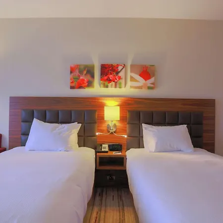 Hilton Garden ホテル 4*