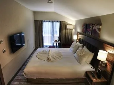 호텔 Hilton Garden 에스키셰히르