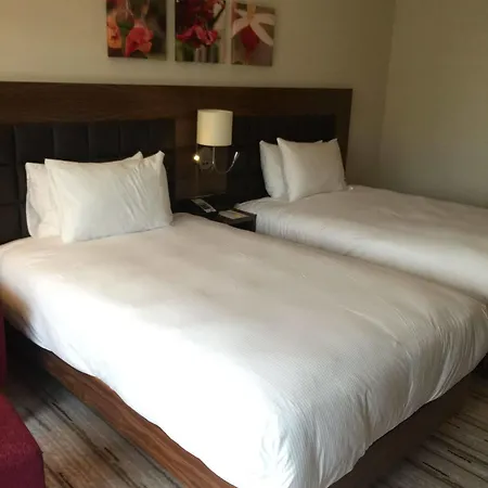 Hilton Garden Szálloda Eskişehir