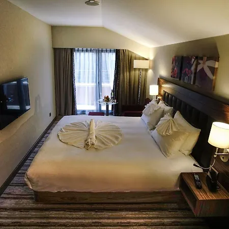 Hilton Garden 4*